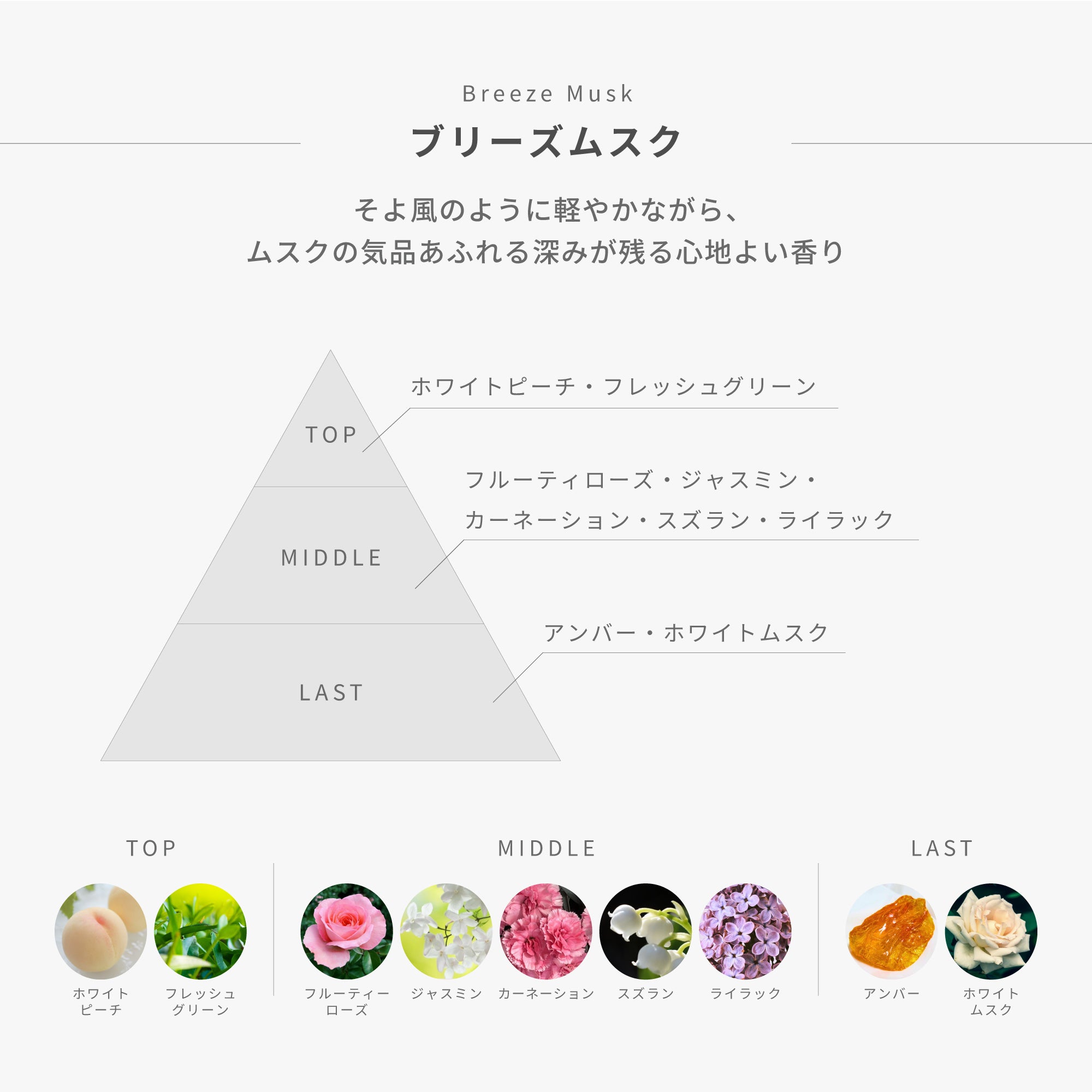 メルティングミルクローションモイスト｜≒4.7（NEARLY4.7 / ニアリー